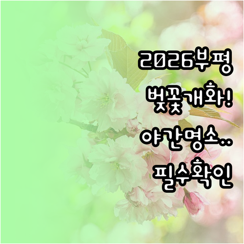 2026 부평 벚꽃 개화 예상일과 야..