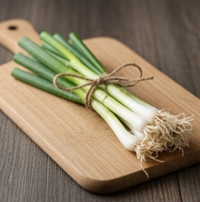 김장 쪽파 심는 시기