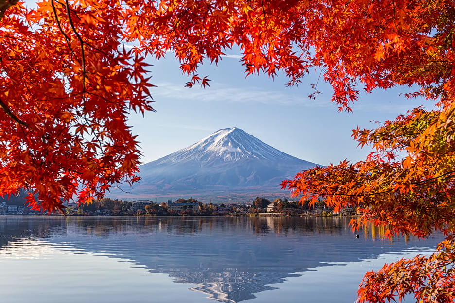 10월 해외여행 추천 훗카이도 단풍