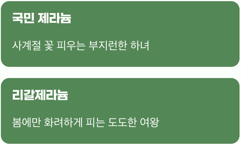 까다로운 여왕님의 성격