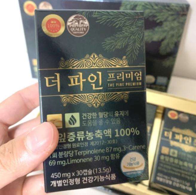 더파인 프리미엄 내돈내산