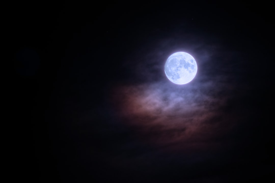 'Moonlight'