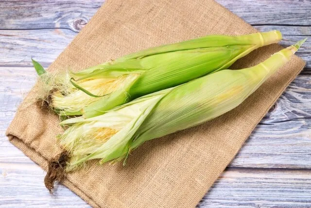 옥수수 항산화 작용 효능