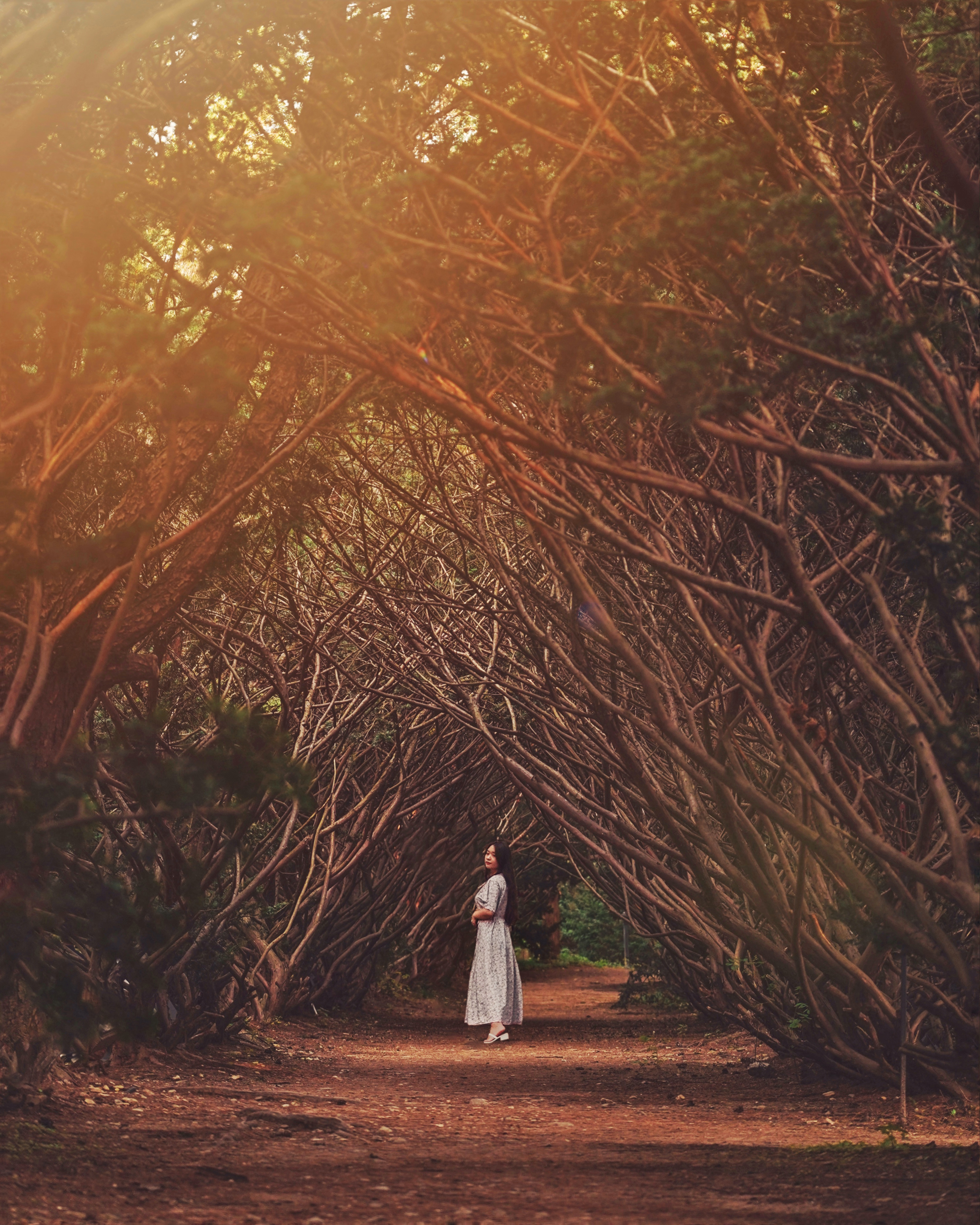 파주 벽초지 수목원, Alpha 7 IIIㅣSEL24105Gㅣ@clarissaacindy