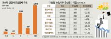 유상증자가 주가에 미치는 영향