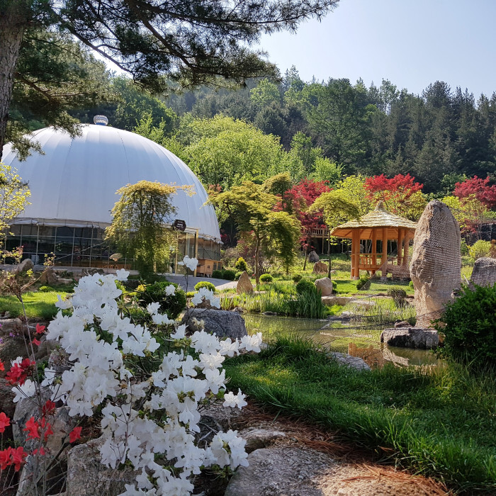 아침고요가족동물원