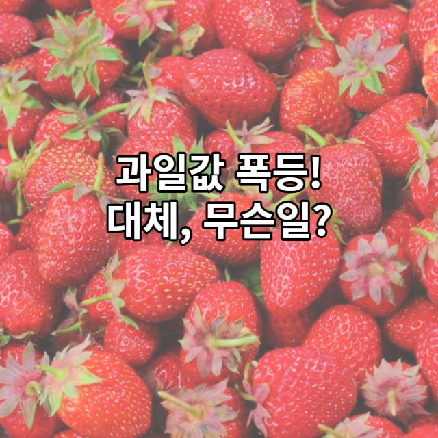 과일값 폭등! 일주일 사이에 30% 이상 상승&#44; 무슨일