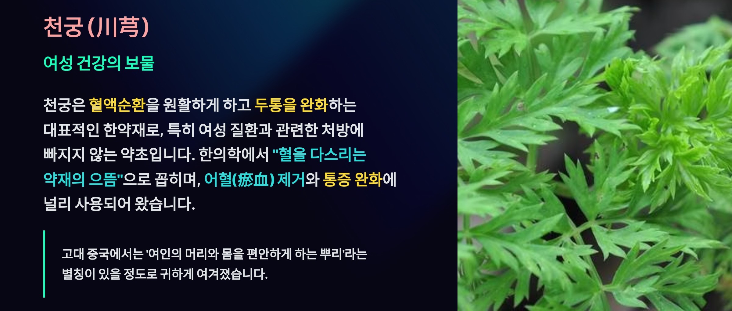 천궁