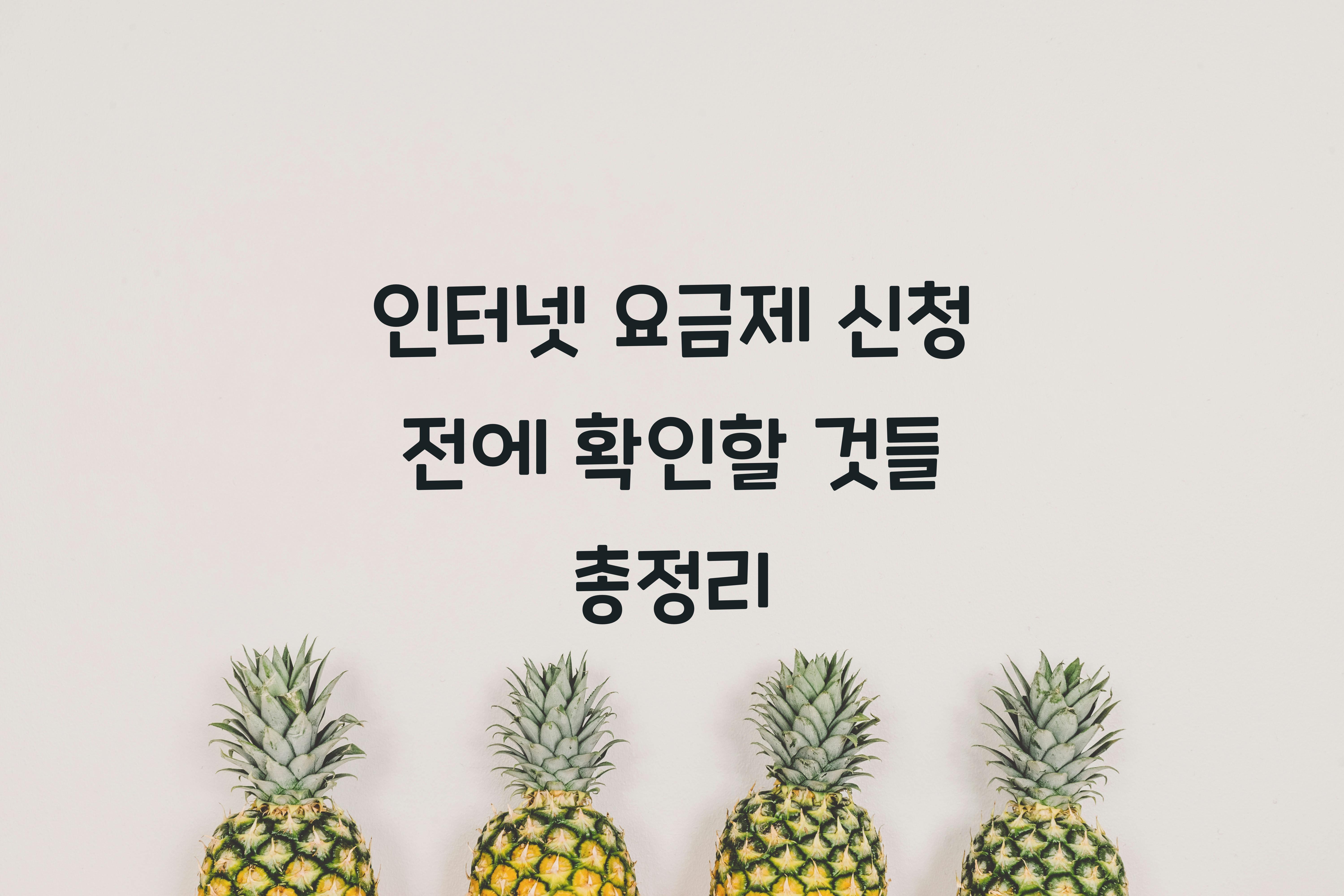 인터넷 요금제 신청