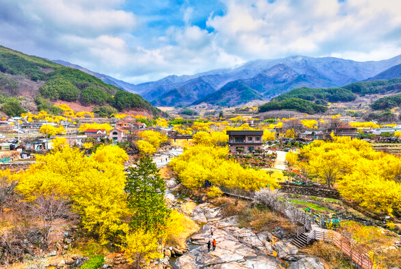 구례산수유 축제 포스터