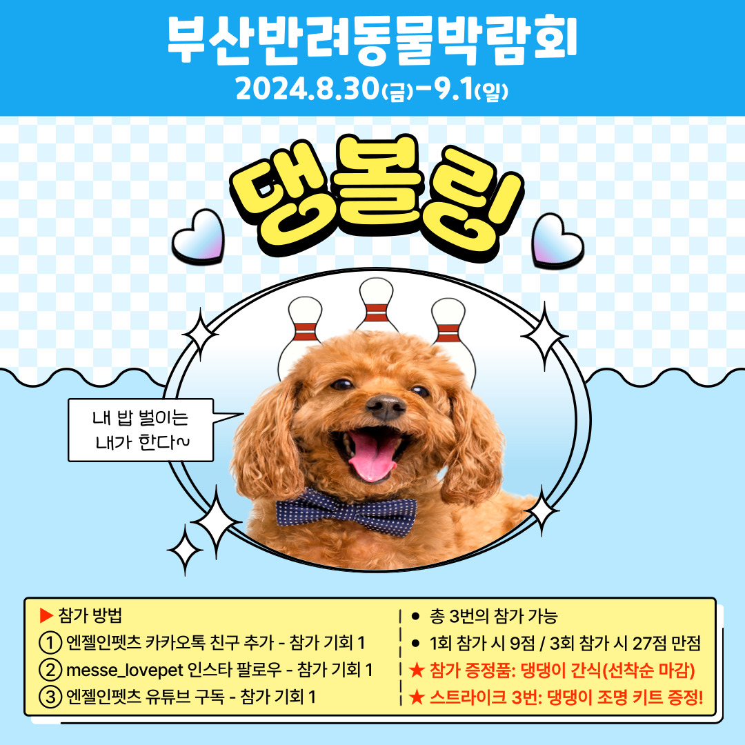 부산 반려동물 박람회 댕볼링 안내
