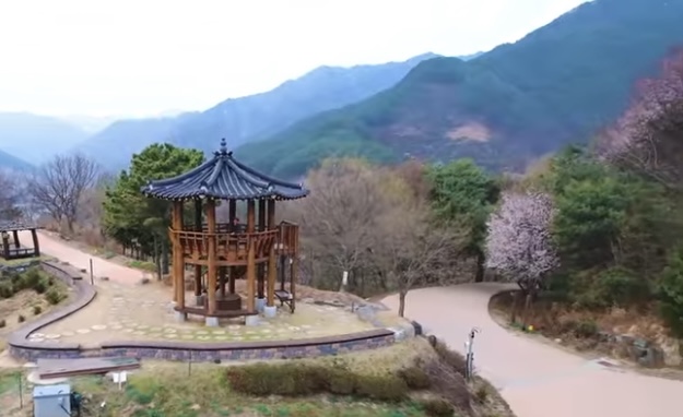 하동 정금차밭3