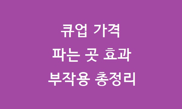 큐업 가격