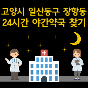 고양시 일산동구 장항동 24시간 야간 심야 당번약국 찾기