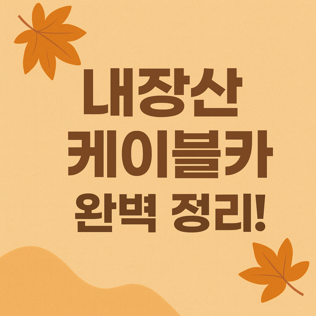 내장산 케이블카 완벽 정리 썸네일 이미지