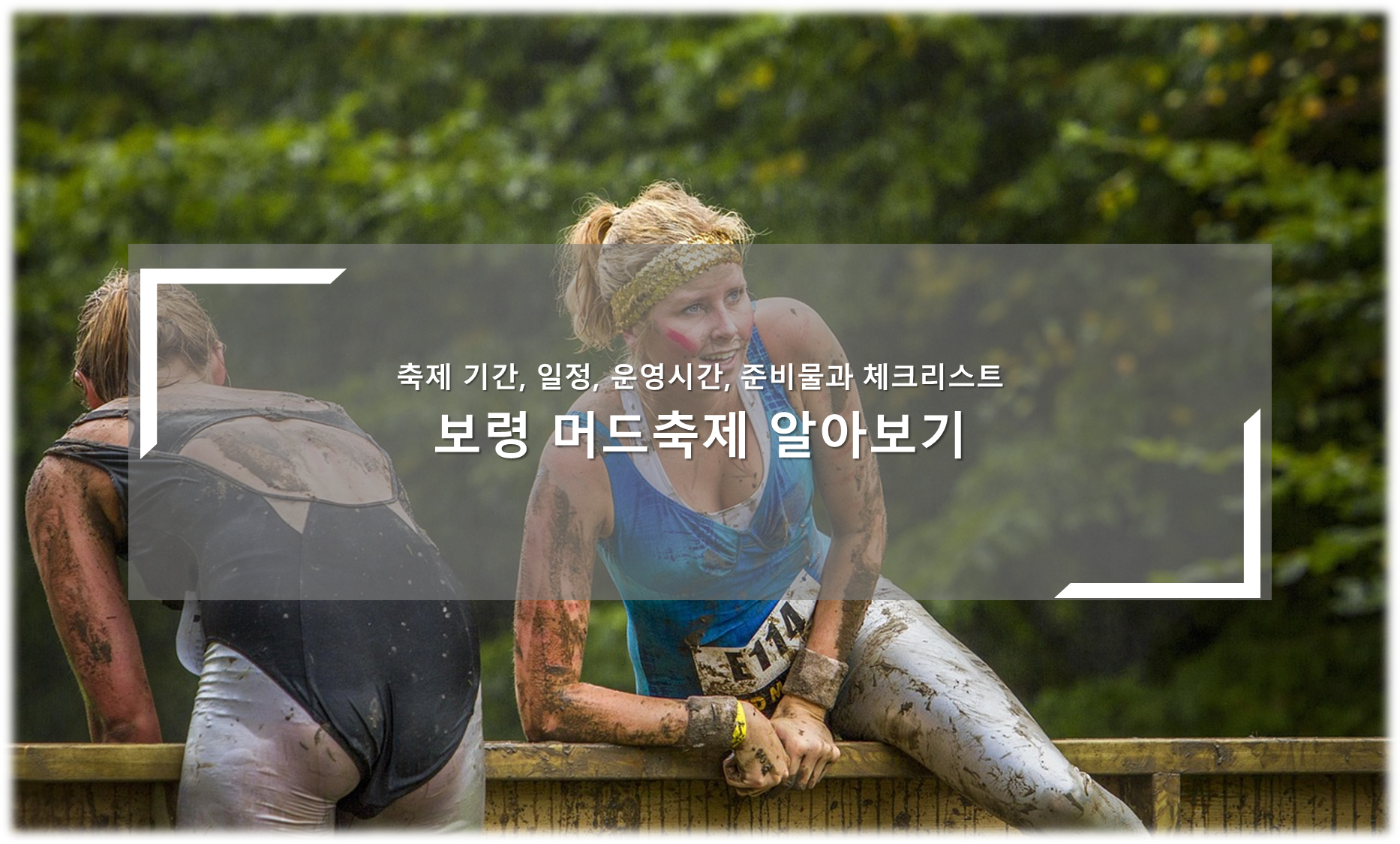 보령머드축제