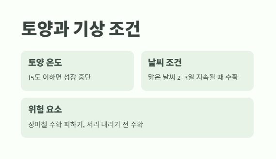 감자 수확시기 타이밍과 방법 6