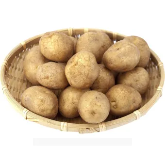 nv_감자 삶는 방법 샐러드 레시피_15