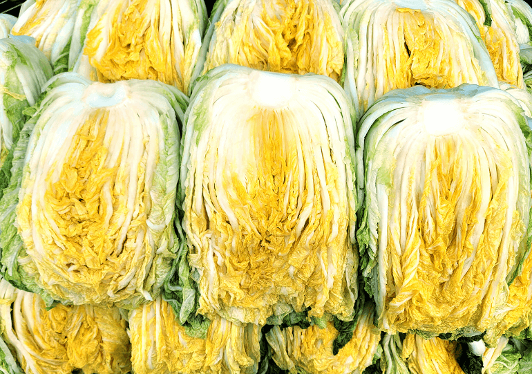 괴산 절임배추 20kg 사전예약 가격비교