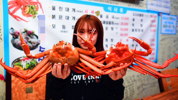 울진 대게 축제