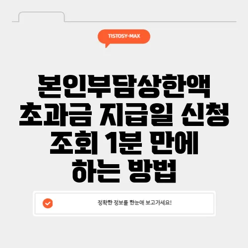 본인부담상한액 초과금 지급일 신청 조회 1분 만에 하는 방법