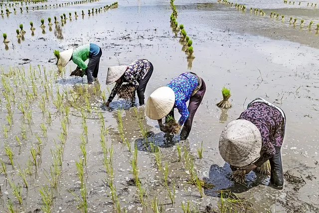 임플란트 지원 대상 건강보험 적용 연령 비용 안내_3
