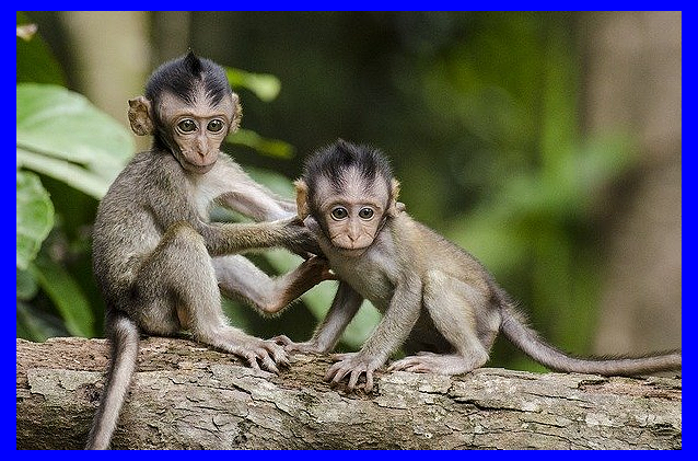 2021년 삼재띠 의미