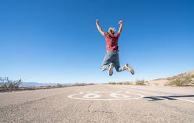 소비쿠폰온라인카드사별신청46