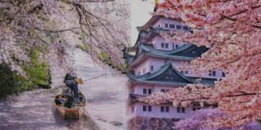 일본 교토 벚꽃 명소 여행, 봄날의 낭만을 만끽하세요