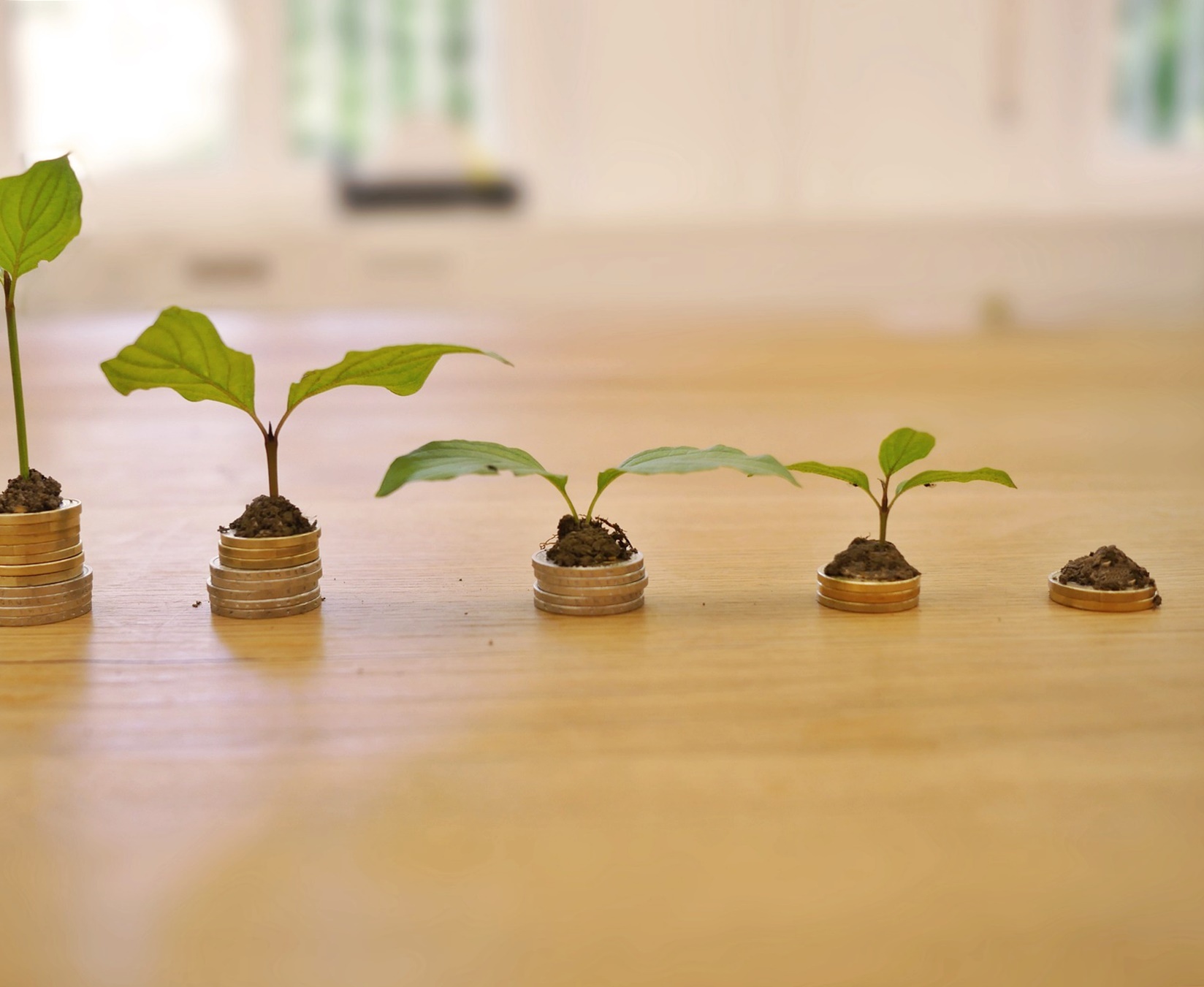 보험·대출이 부동산 가격을 결정하는 방식!