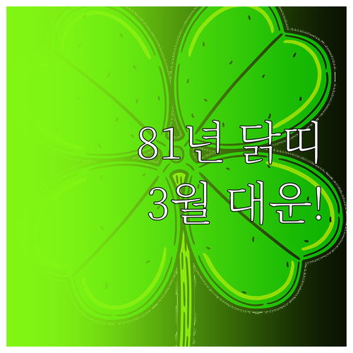 2026년 3월 1981년생 닭띠 월..