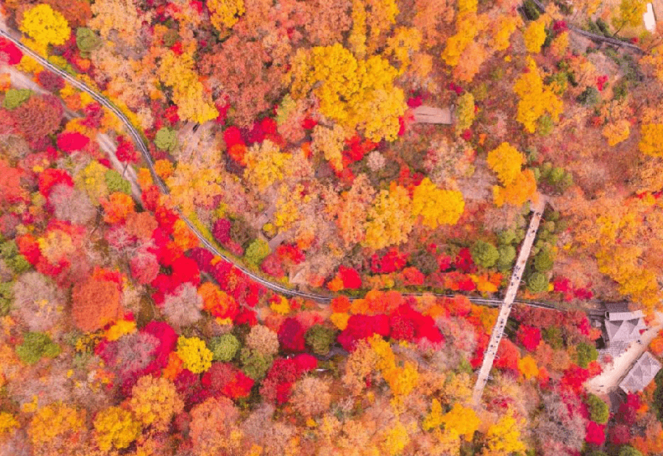 화담숲 - 예약 방법&amp;#44; 예약가능 시간대&amp;#44; 환불 방법