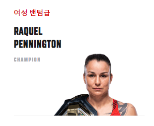 UFC 챔피언