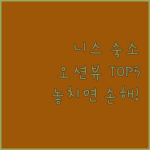 프랑스 니스 숙소 추천 TOP 5 위..
