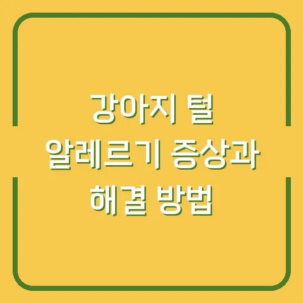 강아지 털 알레르기 증상과 해결 방법