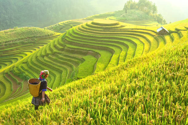Adventure in Sa Pa&#44; Vietnam & highlights