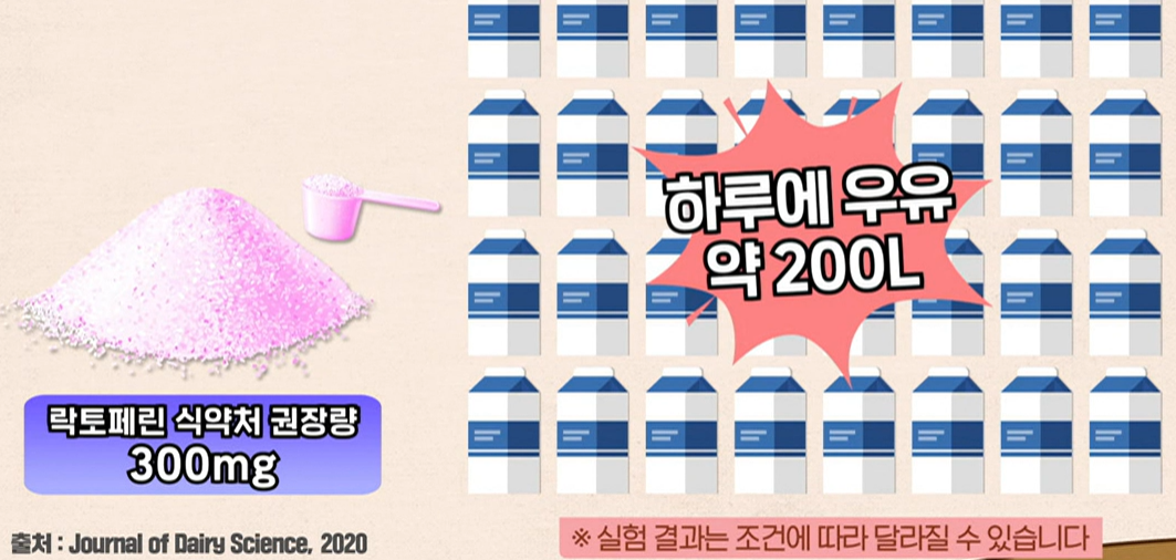 락토페린