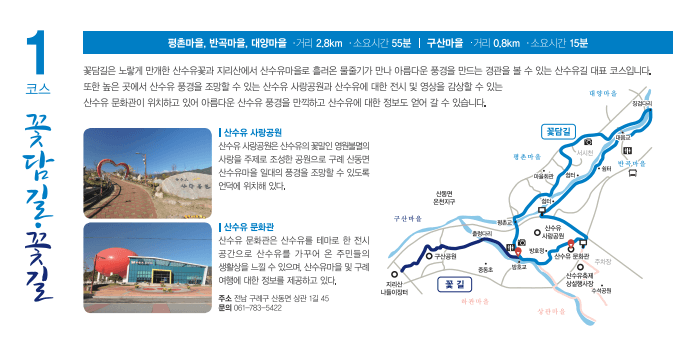 2025 구례 산수유축제 일정·개화시기 총정리