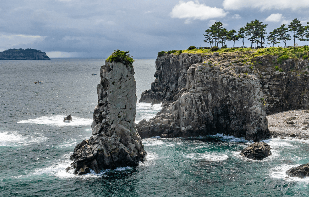켄싱턴 가을 패키지 지금 확인하세요