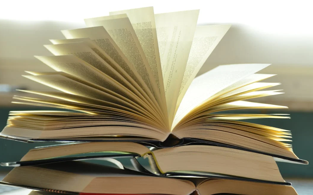 빈도 부사 always / usually / often / sometimes / never 위치 완벽 정리