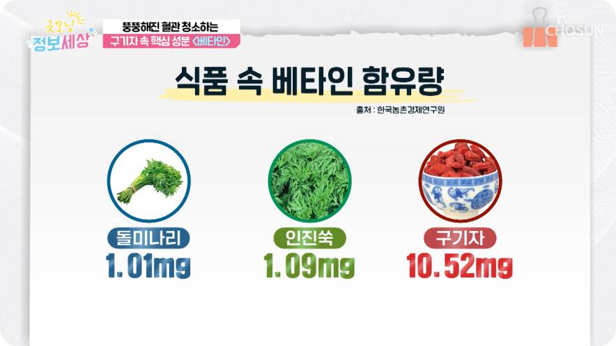 tv조선 굿모닝 정보세상 구기자