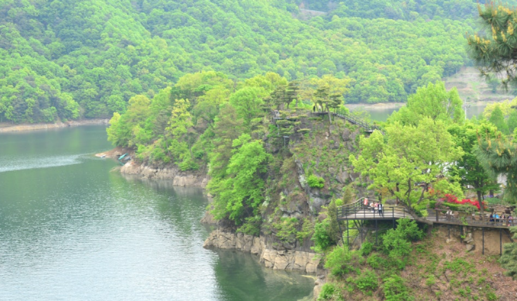 옥천 수생식물학습원