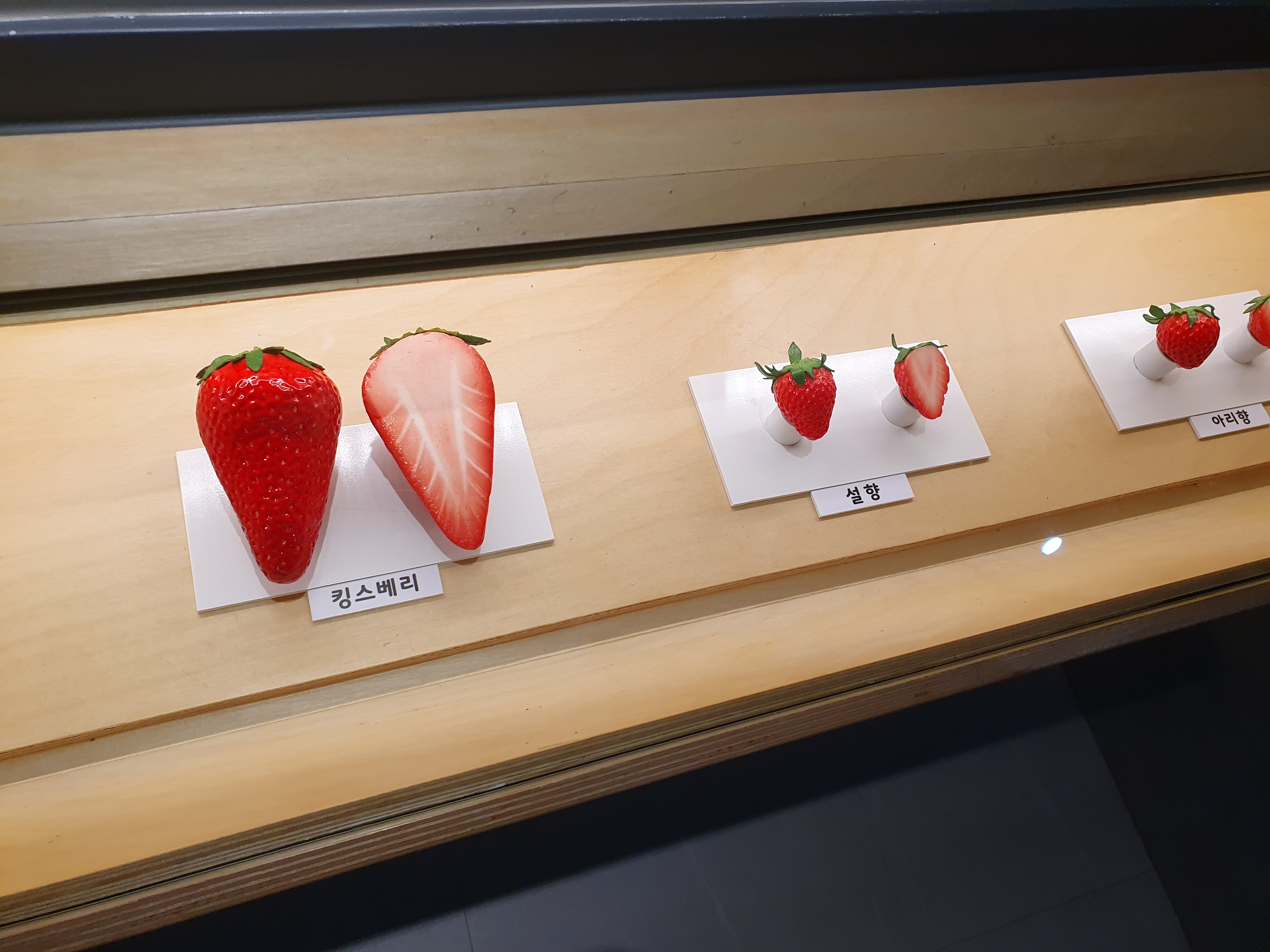 논산 딸기테마관 우리나라 딸기 품종별 모양2