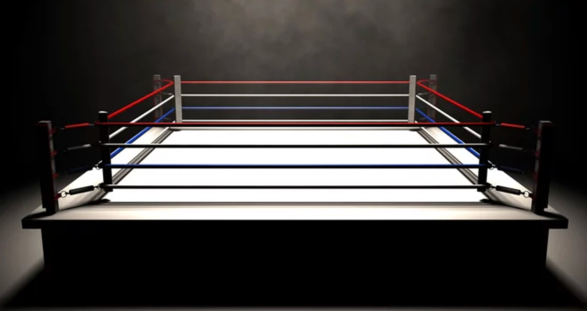 넷플릭스 프로레슬링