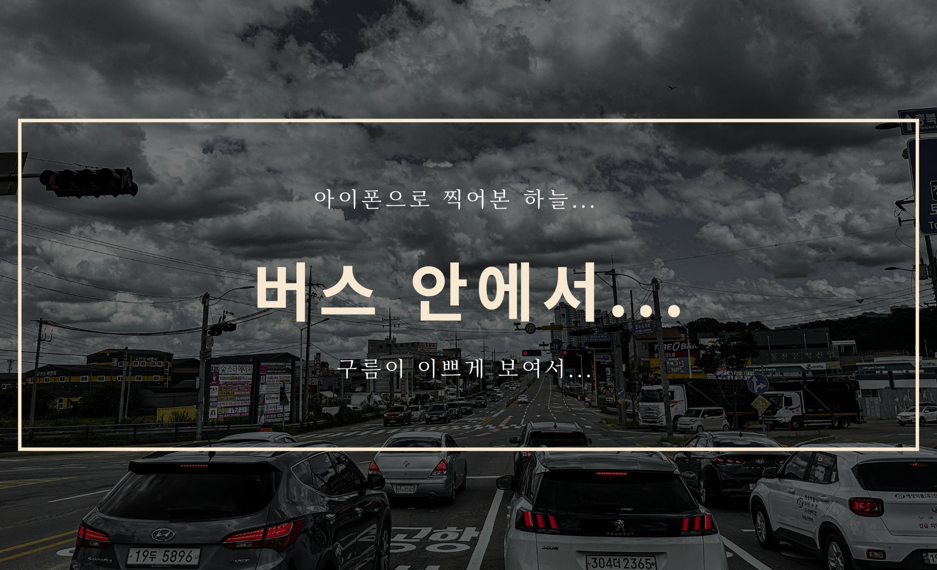 버스 안에서...(feat. 아이폰 14 프로 맥스)