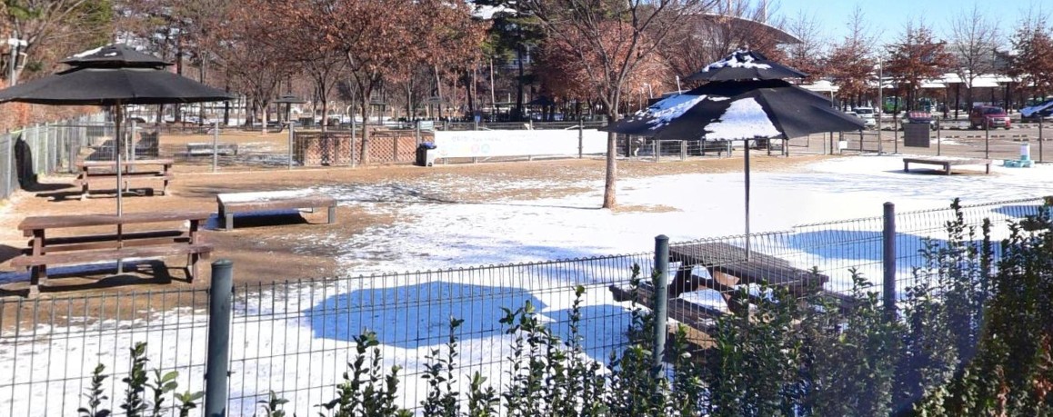 월드컵공원 반려견 놀이터