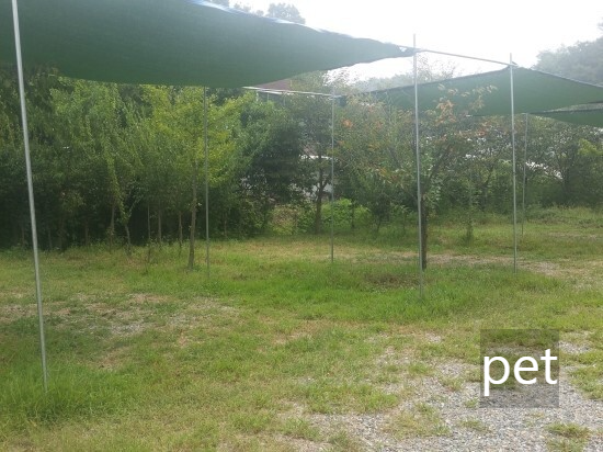 경기-파주-느티나무-그늘아래-캠핑장-예약-방법-애견-동반-가격-주소-시간-후기