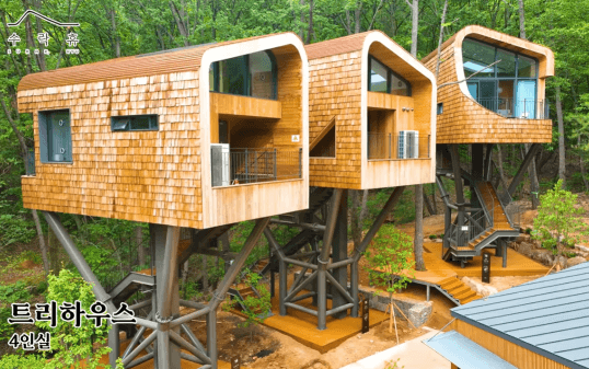 서울 첫 자연휴양림 ‘수락 휴’ 완벽 가이드