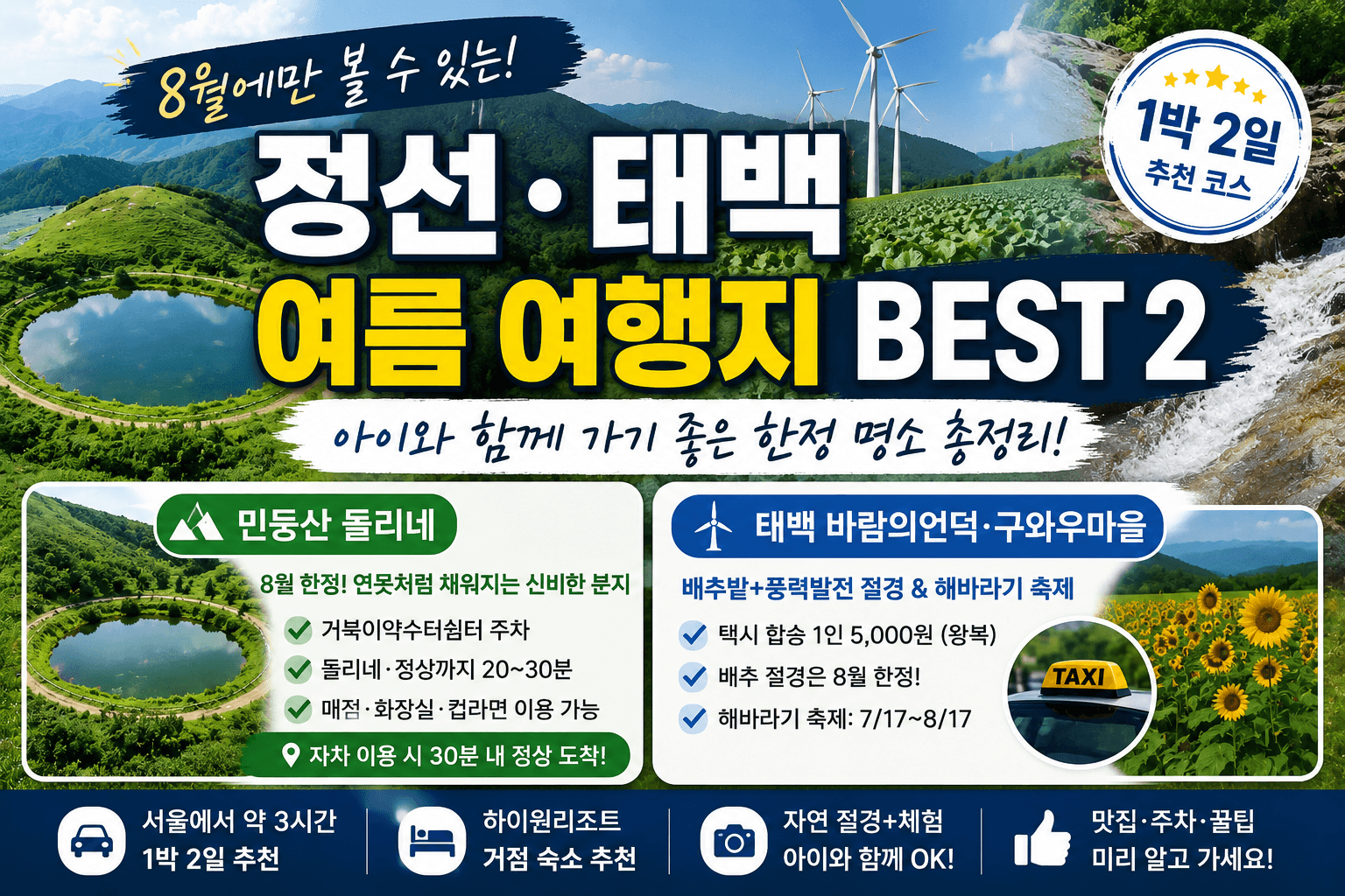8월 정선 태백 여행