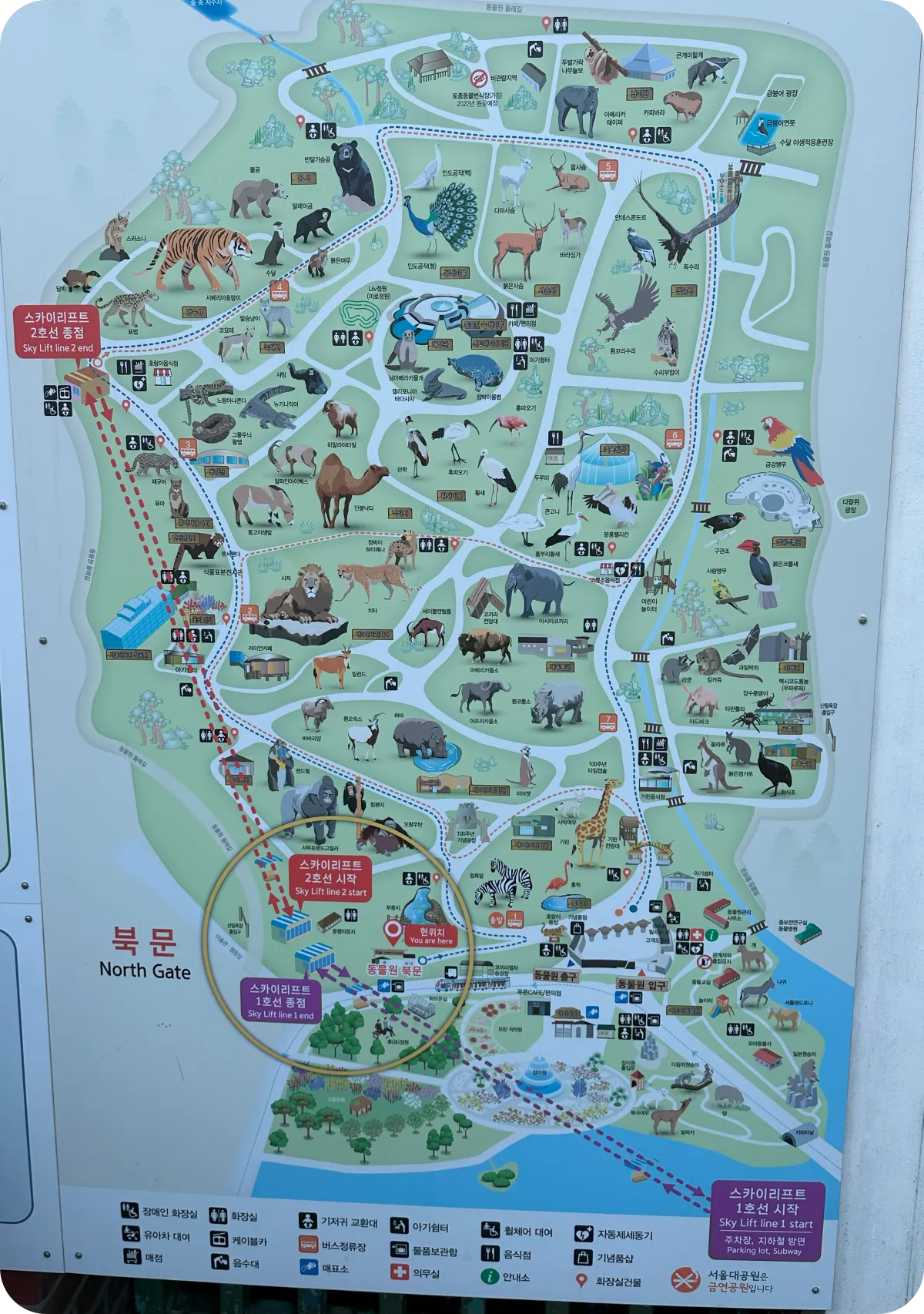 서울대공원 동물원 안내도
